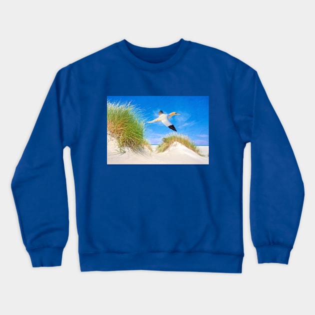 Northen Gannet Bird at the Beach Crewneck Sweatshirt by lauradyoung